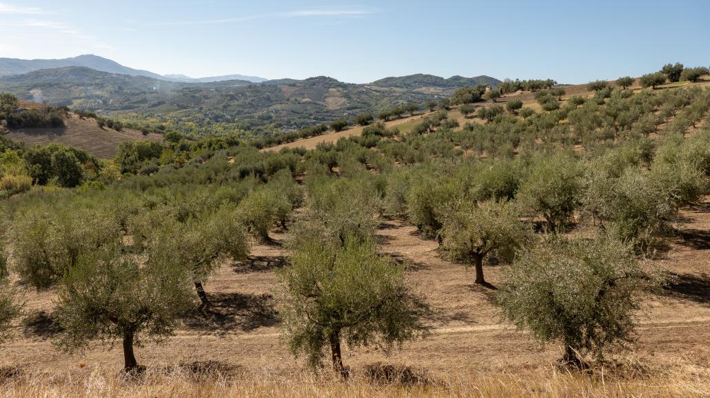 Sapori della Majella