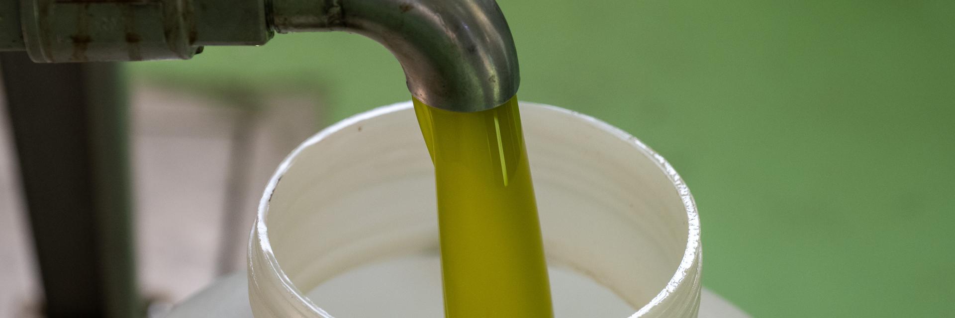 Olio